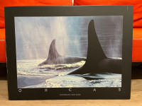 2 Cadres collection Orcas du Photographe Bob Talbot