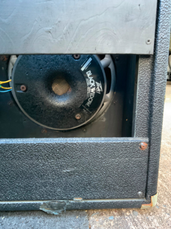 Two Peavy Black Widow 12” Speakers in Pro Audio & Recording Equipment in Bridgewater - Image 4