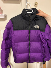 Puffer the north face 
