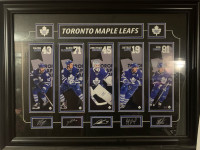 Maple leafs pic 