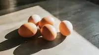 Free Range Farm eggs
