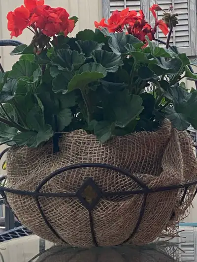 Add a touch of rustic charm to your space with these three metal hanging baskets, each adorned with...