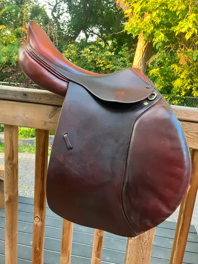 Dominus english saddle for sale! - long flap -17” seat -comfy knee roll and front/back blocks - come...