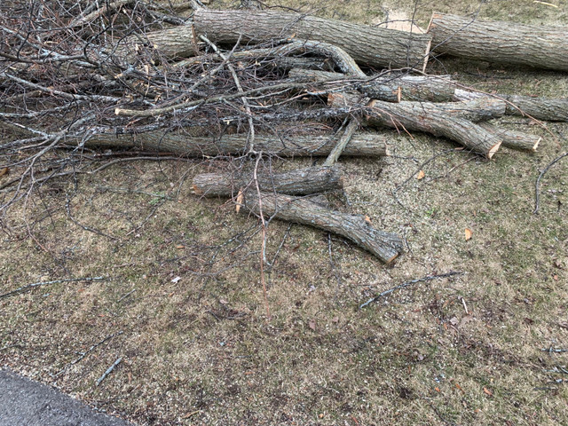 Free wood in Free Stuff in Barrie - Image 2