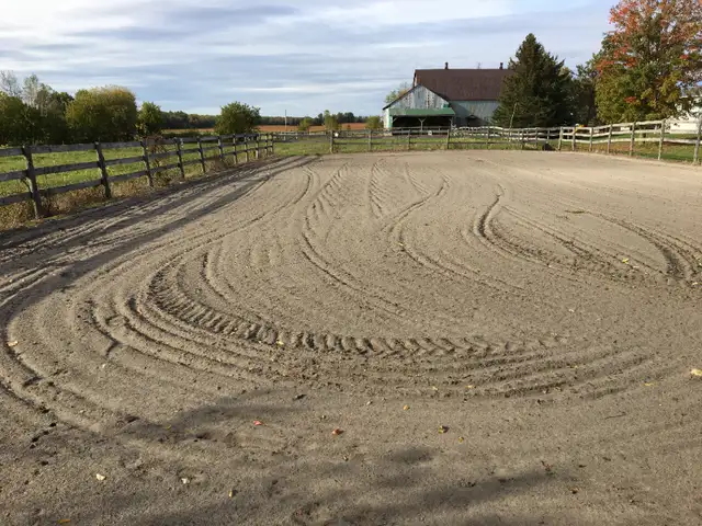Horse boarding - Indoor in Animal & Pet Services in Ottawa - Image 3