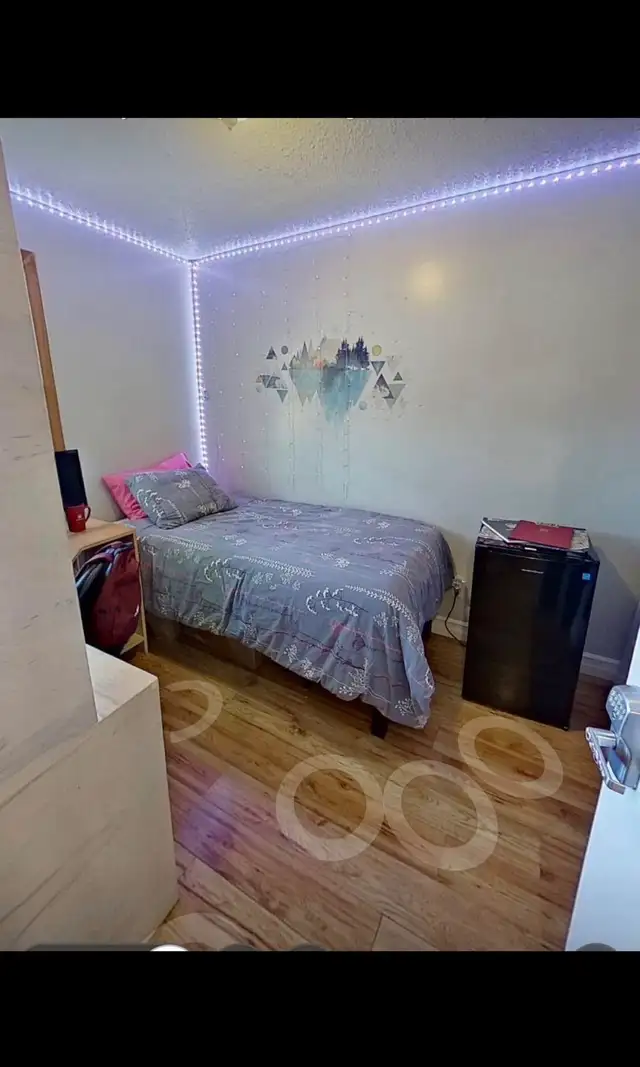 DECEMBER 1st or JANUARY 1st - Room for rent  in Room Rentals & Roommates in Ottawa - Image 5