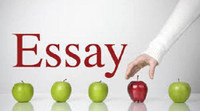 Excellent Report Writing/Homework/Case-Study Help in All Subject