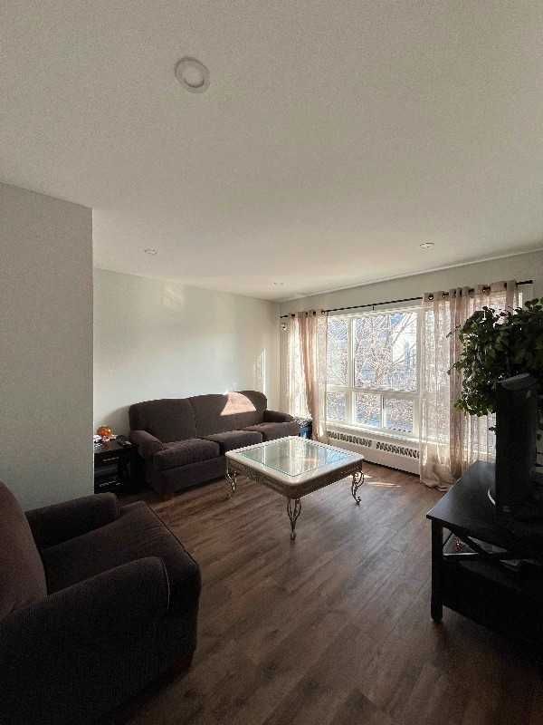 LUXURY SUBLET - Kingston ON - large top floor fully furnished in Room Rentals & Roommates in Kingston - Image 3