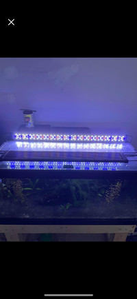 Nicrew SkyLED plus planted aquarium light. For tank sizes 36 to 