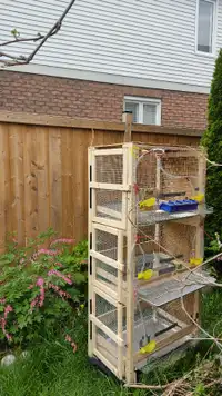 3 Layer Cage for Quails