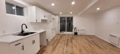 Beau grand 4 et demi NEUF style condo aire ouverte. Très spacieux et ensoleillé. Stationnement x 1 i...