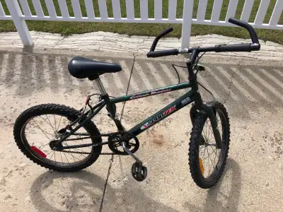 1 Speed Sporttek Canyon Runner With Oversized Tubing For Sale 20” Tires Distance From Center Of Cran...