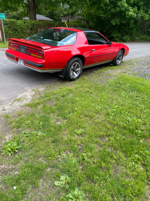 1986 Pontiac Firebird