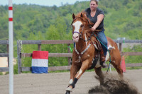 Horse Training Spots Available 
