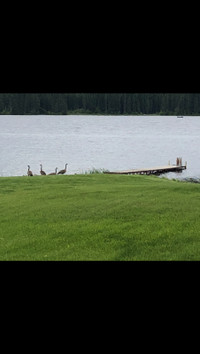 Water front property on Cowan Lake in The Town of Big River Sask