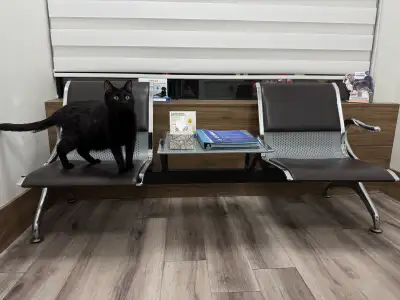 Exam room seating, View more