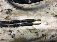 Maze Audio Speaker Cable 8 foot length