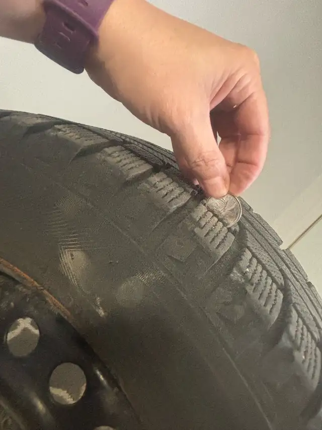 Ford Focus Winter Tire 215/55R/16, 1 Winter Tire with Rims577405935776573444