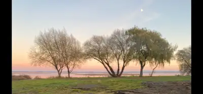 Already prepared for construction. Ask for size and limitations. All information available. 8.92 acr...