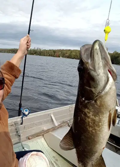 ⭐Muskoka Lakefront Cottage for Rent⭐ Great Fishing!, View more