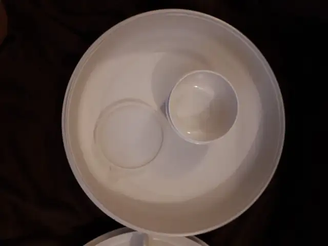 TUPPERWARE Party Tray488614130856775682