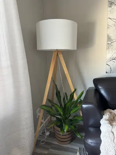 Accent Lamp, View more