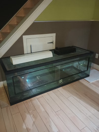 Six foot glass reptile tank terrarium
