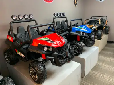 Choose Your All-Terrain Ride: 2x24V CAN-AM: $54.99/Day – A powerful and stylish buggy designed for m...