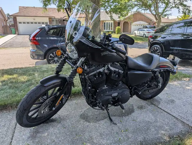 2014 Harley Davidson Sportster 883 in Street, Cruisers & Choppers in Mississauga / Peel Region - Image 7