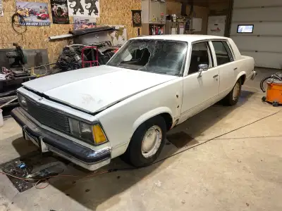 Selling parts for MALIBUs and ELCAMINOs from 1978-1983 Please message for anything you need to fix y...