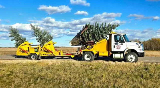 FISHER TREE MOVERS517158938125936644