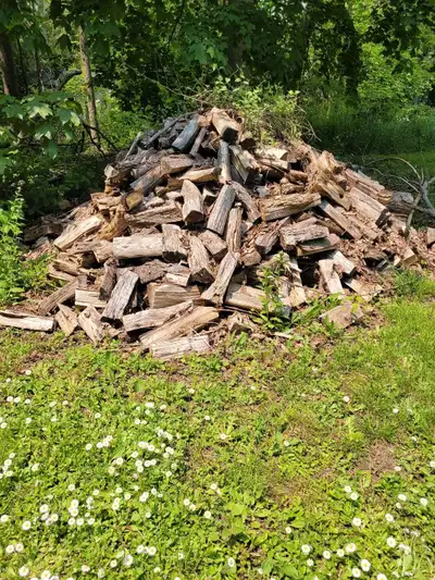 FREE FIREWOOD, View more