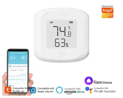 Temperature and Humidity Sensor, View more