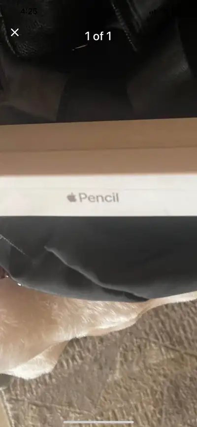 Apple Pencil, View more