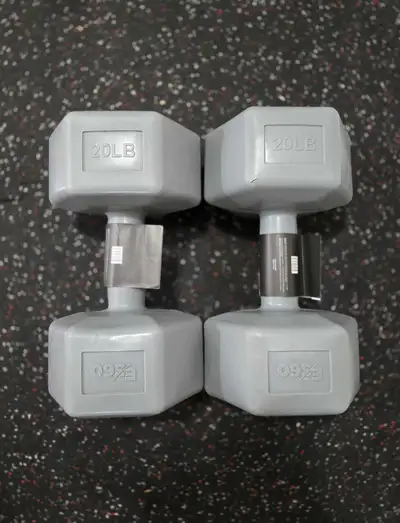 20lb Hex Dumbbell PVC Weights - New!, View more