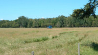 Ferme laitière à louer .,et 2 pâturages 