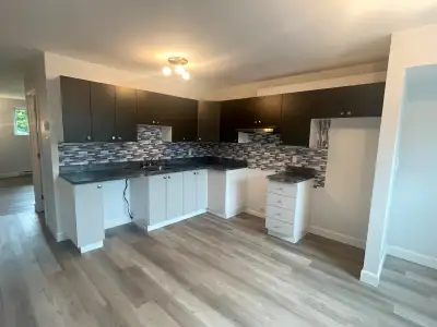 ENTIÈREMENT RÉNOVÉ DISPONIBLE IMMÉDIATEMENT 4 1/2 à louer à St-Jerome(coin Fournier & Giguère) Demi...