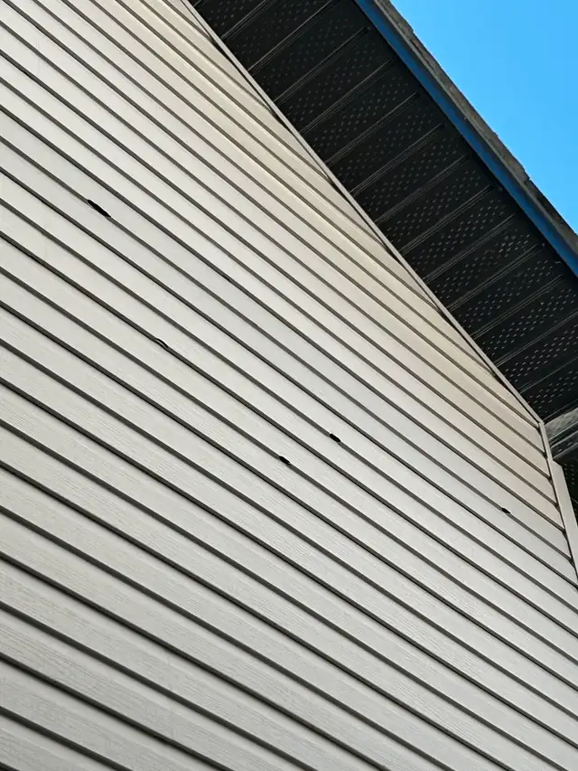Siding Repair and Installation62864357369346121