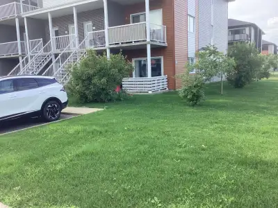 Logement à louer 4-1/2