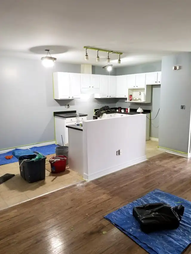 LOOKING FOR A PAINTER YOU CAN TRUST ?582838694530273285