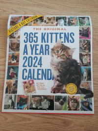 365 kittens a year 2024 calendar