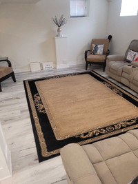 Sofa and rug cleaning 647 531 7928 