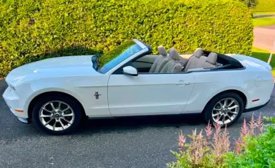 Mustang, en très bonne condition, toujours bien entrenue, jamais accidentée. 88395 km. Mags, lecteur...