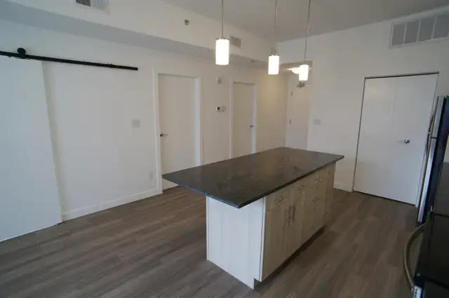 Beautiful 2 Bedroom Condo for rent in 247 River Ave
