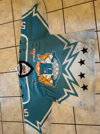 Game worn Hockey Goalie Jerseys- Russian pro and GMHL Lakers