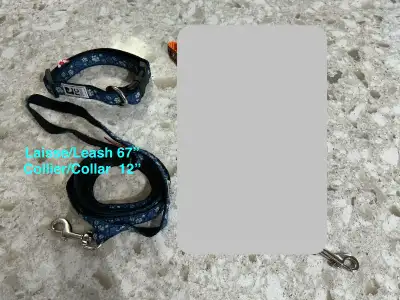 Laisse & Collier/Leash & Collar, View more