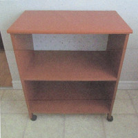 2 Rolling Shelfs and Tv Stand/Toys or Shoes Shelf