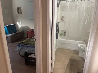 room mate wanted