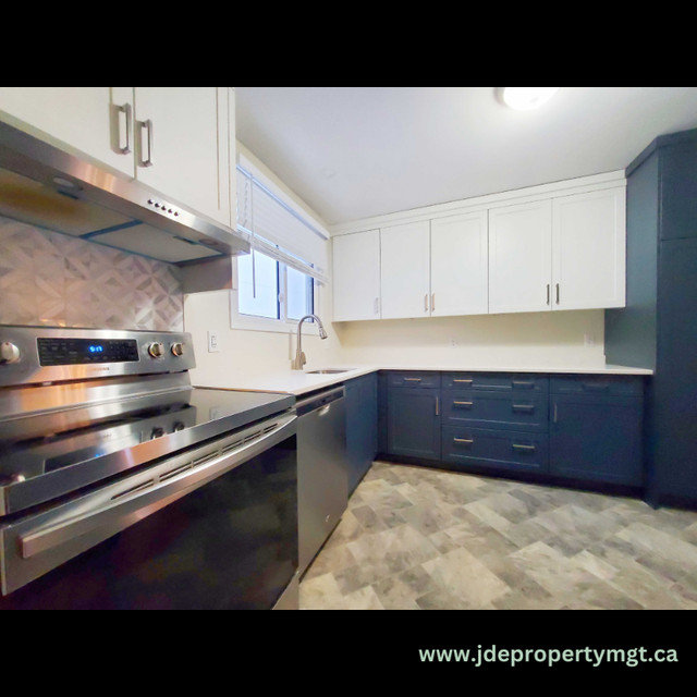 Spacious Basement Room for Rent in Dartmouth in Room Rentals & Roommates in Dartmouth - Image 4