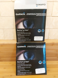 GARMIN BlueChart g2 Vision preprogrammed data card